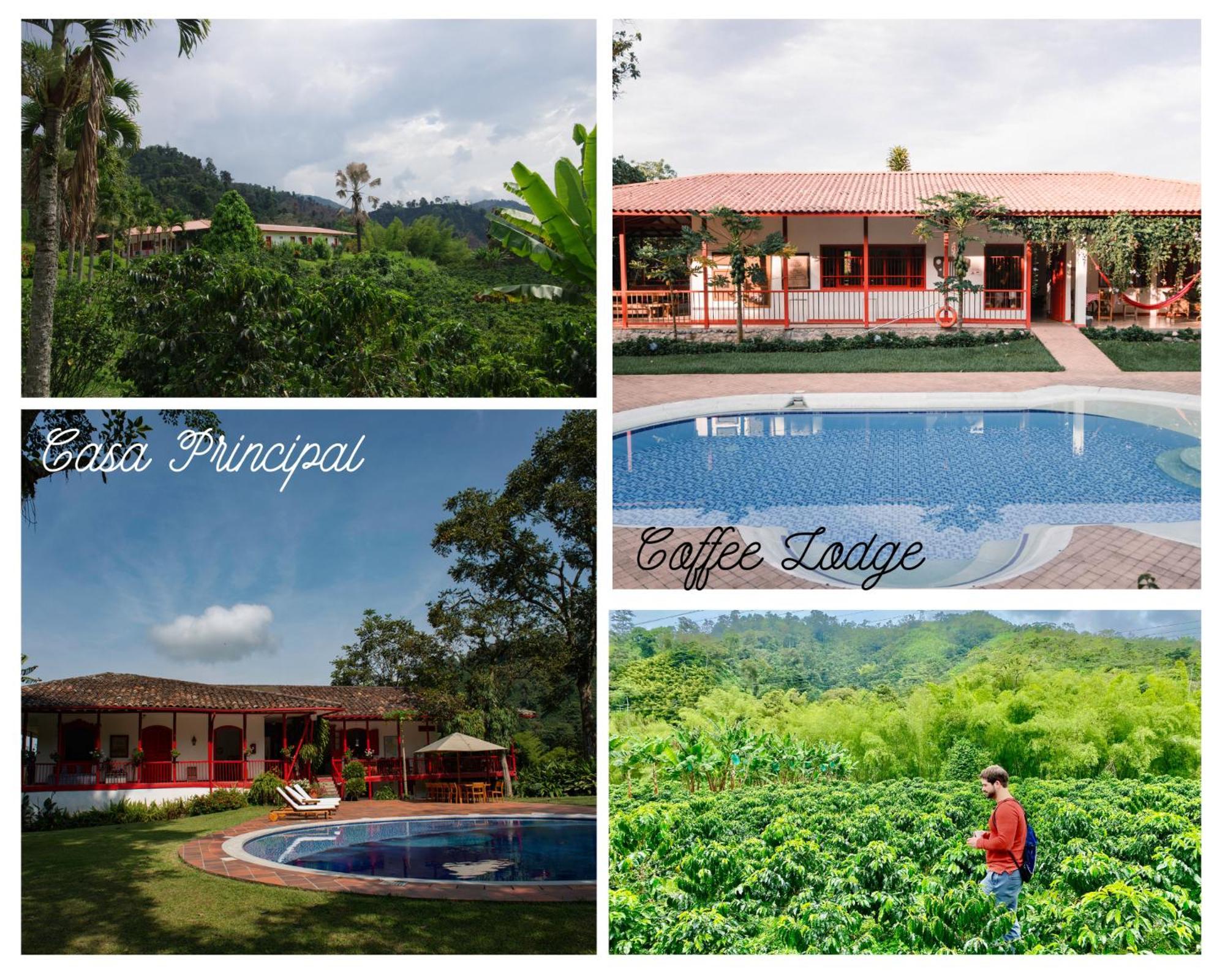 Hacienda Venecia Coffee Farm Hotel Manizales Exterior foto